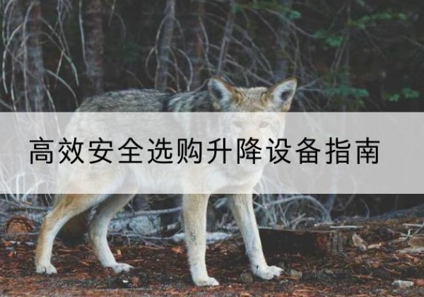 方山升降货梯厂家推荐-*安全选购升降设备指南