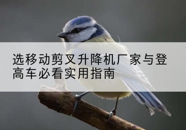 方山电动升降机厂家-选移动剪叉升降机厂家与登高车必看实用指南